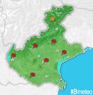 Previsioni pollini Italia per martedì, 30 luglio la sera