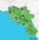 Previsioni pollini Italia per martedì, 30 luglio la sera