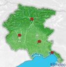 Previsioni pollini Italia per martedì, 30 luglio la sera