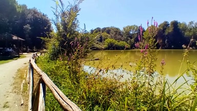 VIDEO | Da Pasquetta le attivit&agrave; della cooperativa "Il Bosso" nella riserva dannunziana: sottoscritta la convenzione