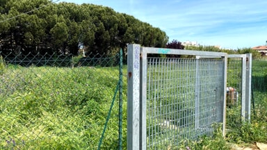 Incuria e degrado nell'area cani di via Einaudi, sopralluogo della commissaria Pari Opportunit&agrave; [FOTO]