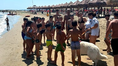 bambini scuola di primo soccorso cinofilo formiamo formazione (10)