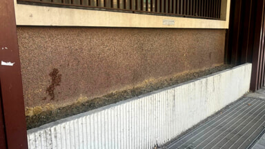 Patrizia, la senzatetto che ha ripulito la fioriera davanti la sede abbandonata della Regione in viale Bovio