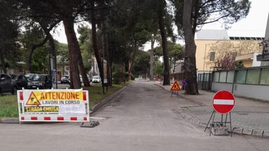 Valutazioni in corso sulle radici dei pini, sospesi i lavori di asfaltatura in via Scarfoglio [FOTO]