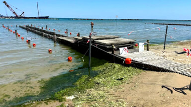 La denuncia di un cittadino: "Degrado e abbandono in un tratto della spiaggia lungo la riviera nord" [FOTO]