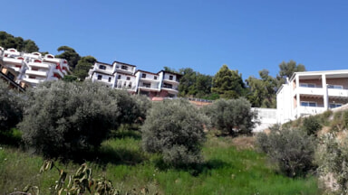 La denuncia di una residente di Montesilvano: "Non viene rispettata la legge sulla pulizia dei terreni privati"