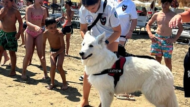 bambini scuola di primo soccorso cinofilo formiamo formazione (18)