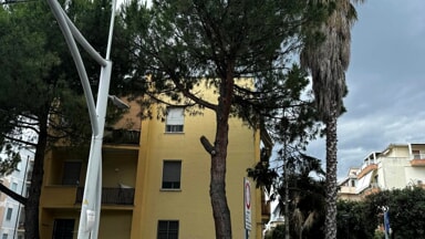 Caos sulla strada parco: cittadini infuriati per "l'abbattimento di alberi". Operazioni sospese