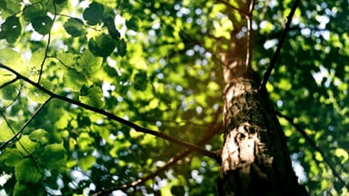 Per la "Settimana del patrimonio" Italia Nostra organizzata una visita guidata nel parco ex viviao a Zanni