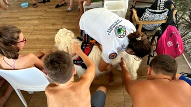 bambini scuola di primo soccorso cinofilo formiamo formazione (12)