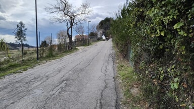 Incrocia lupo in strada Colle Pizzuto mentre &egrave; a passeggio col cane, paura per una donna