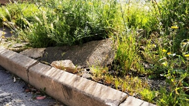 Un cittadino sui marciapiedi di via Corridoni: "Due anni di completo abbandono"