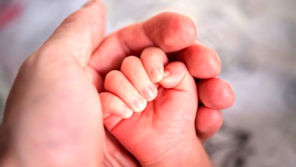 Atti di nascita, riconoscimento e adozione: le istruzioni del Comune di Pescara