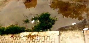 La denuncia di un residente di via Caduti per Servizio: "Fogna tracima acque maleodoranti da giorni"