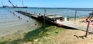 La denuncia di un cittadino: "Degrado e abbandono in un tratto della spiaggia lungo la riviera nord" [FOTO]