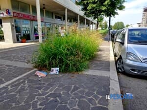 La denuncia di un residente: "Degrado e rifiuti in corso Strasburgo a Montesilvano"