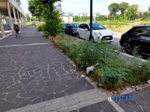 La denuncia di un residente: "Degrado e rifiuti in corso Strasburgo a Montesilvano"