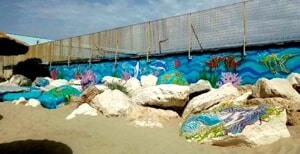 La segnalazione di una lettrice: "Realizzato un suggestivo murales sul muro del molo sud"