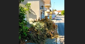 Alberi potati in via Tirino e rami lasciati da pi&ugrave; di dieci giorni sul marciapiede: la denuncia di un residente