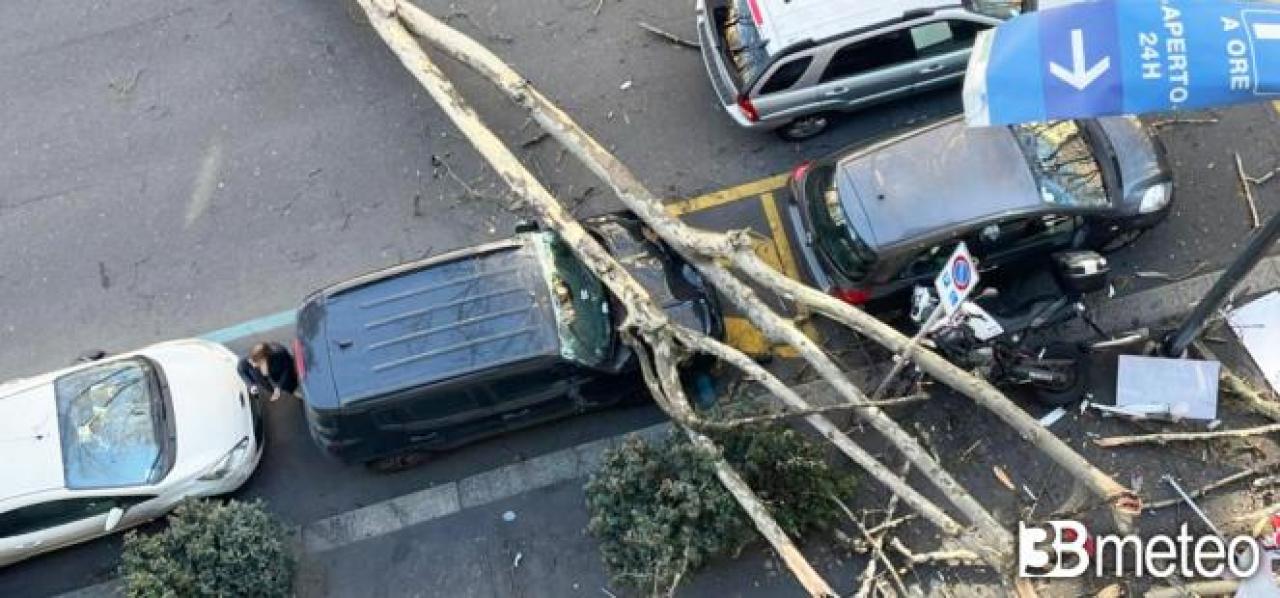 Alberi caduti a Milano durante una tempesta di Foehn