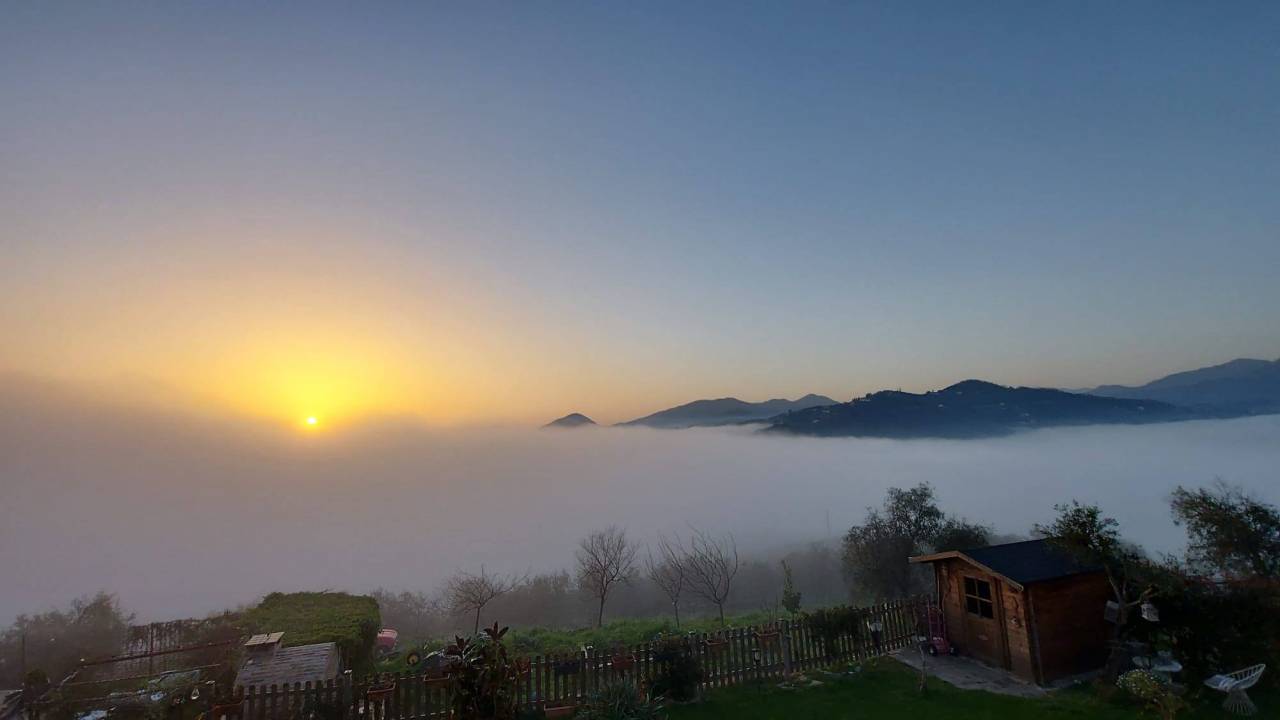 Caligo, foto di Matthias Loehner