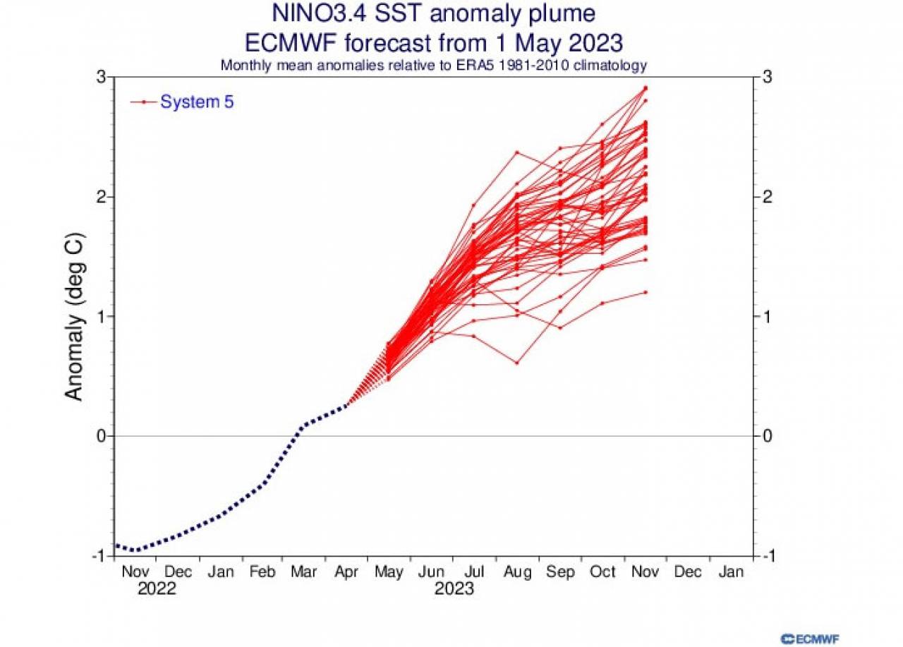 previsioni membri in area Enso - fonte Ecmwf
