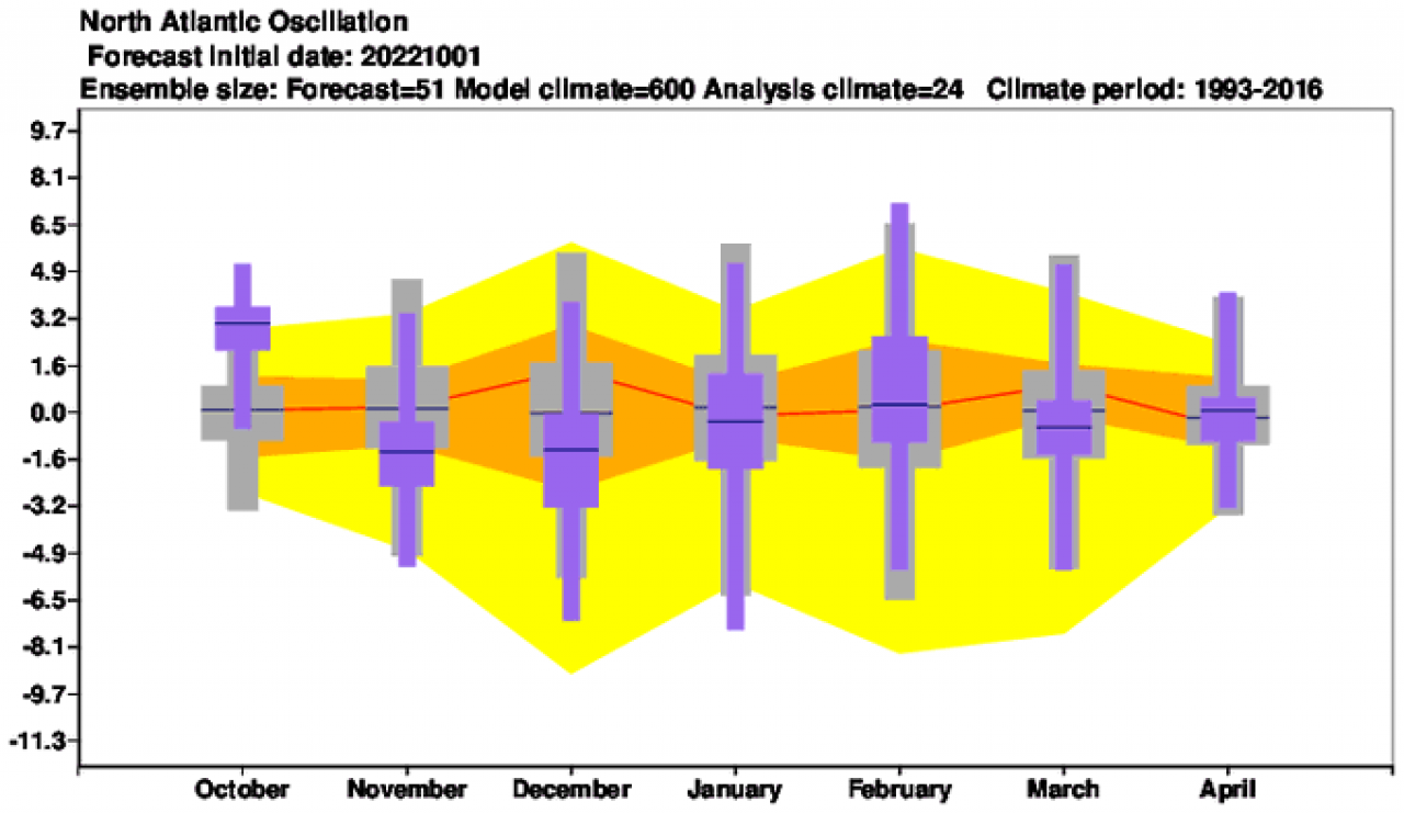 scenario novembre-gennaio secondo Ecmwf scenario novembre-gennaio secondo Ecmwf