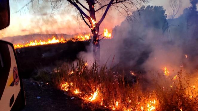 Cronaca meteo. Con caldo e clima secco divampano gli incendi. Situazione critica tra Roma e provincia
