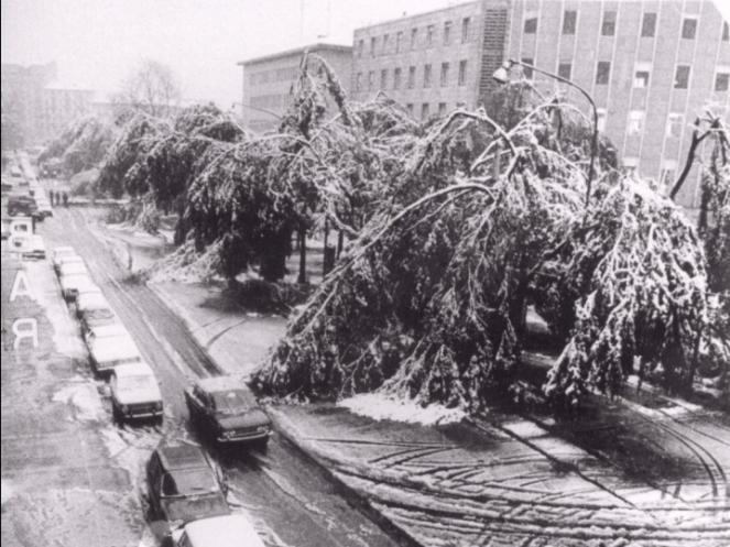 NEVE fuori stagione: Torino, 25 aprile 1972, la nevicata più tardiva della storia