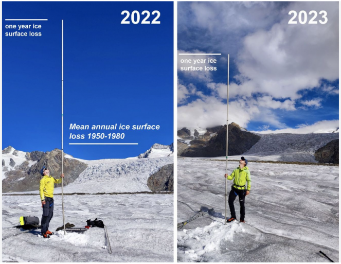 Paline ablatometriche sul Ghiacciaio dell'Aletsch. Uno dei modi per misurare la perdita di spessore del ghiacciaio