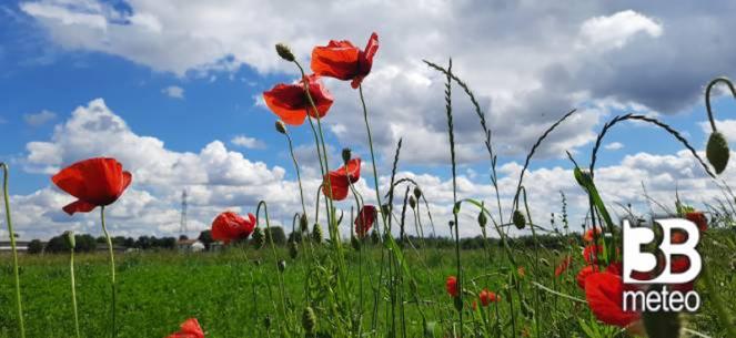 Meteo giugno. Dalla Festa della Repubblica fino a metà mese, la tendenza