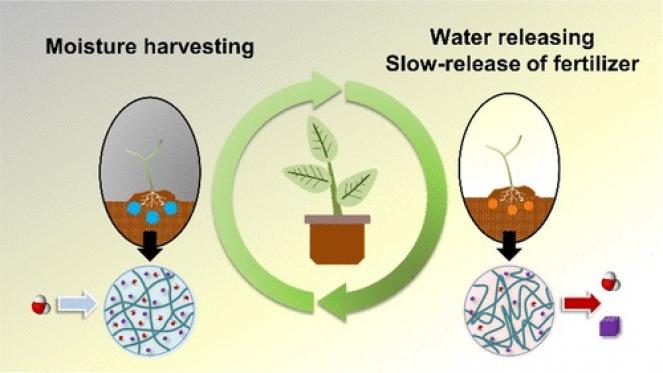 Un idrogel per salvare l'agricoltura dal cambiamento climatico