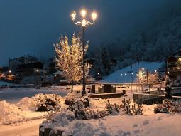 aprica