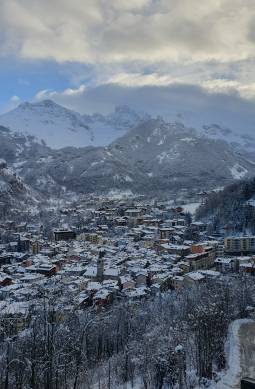 limone dai mian 04112022.