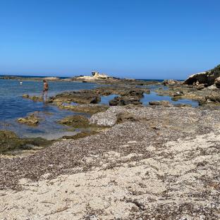 Fotosegnalazione di San vero milis