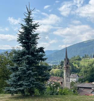 Fotosegnalazione di Sovramonte