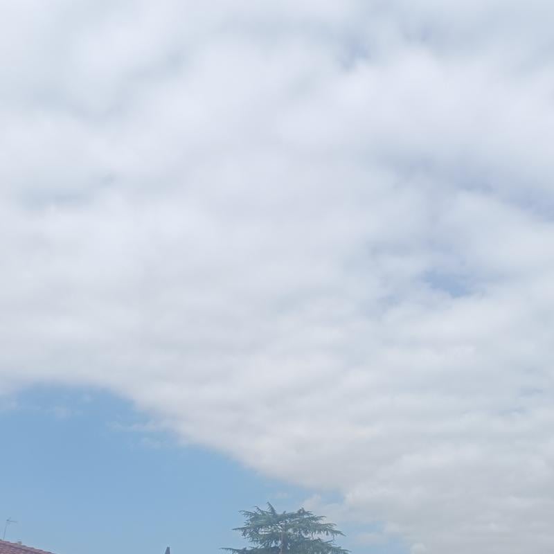 Fotosegnalazione di Sesto al reghena