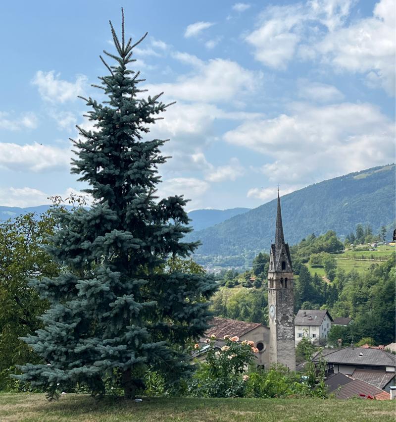 Fotosegnalazione di Sovramonte