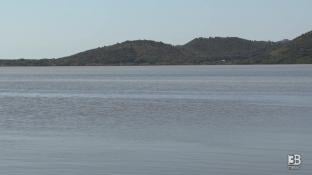 Cronaca diretta - Moria di pesci, sindaco Orbetello: situazione grave. Video