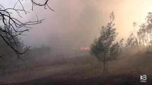 Cronaca Lazio - Roma, incendio a Ponte Mammolo, auto carbonizzate dal rogo - Video