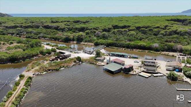 Cronaca diretta - Laguna di Orbetello: le immagini dal drone: video