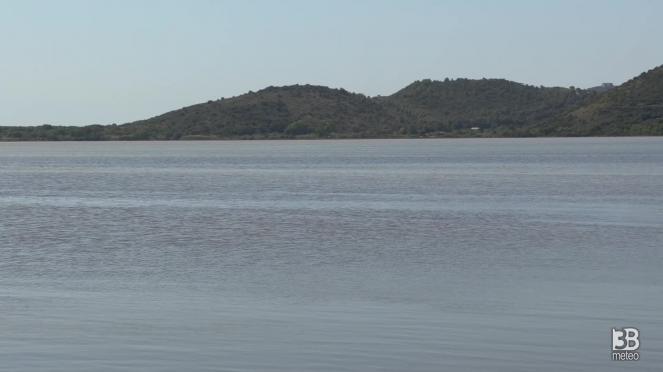 Cronaca diretta - Moria di pesci, sindaco Orbetello: situazione grave. Video