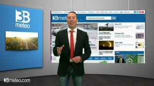 Come leggere il bollettino dei pollini