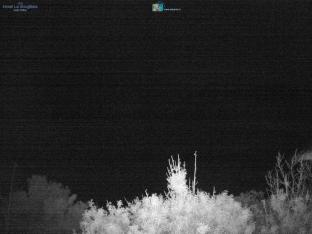 Isola d\'Elba - Morcone