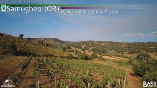 Samugheo (OR)