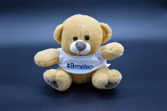 Orso peluche con maglietta "3bmeteo"